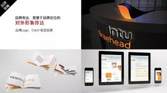 广告策划与设计 创意与策略的完美融合